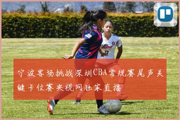 宁波客场挑战深圳CBA常规赛尾声关键卡位赛央视网独家直播